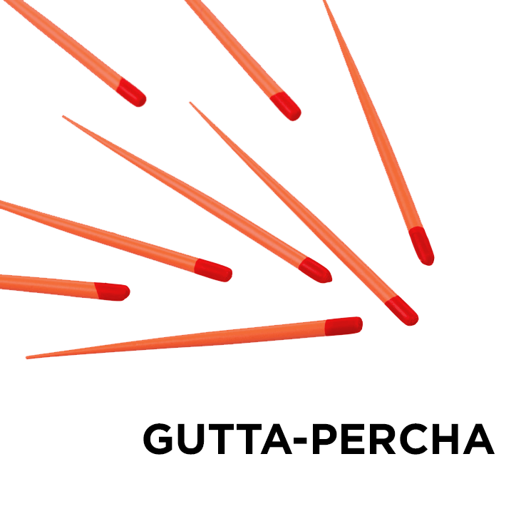 Gutta-Percha *PLEASE ADD LOGO IMAGE* Ensures a perfect seal.
