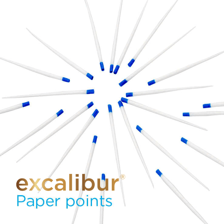 Excalibur Paper Points