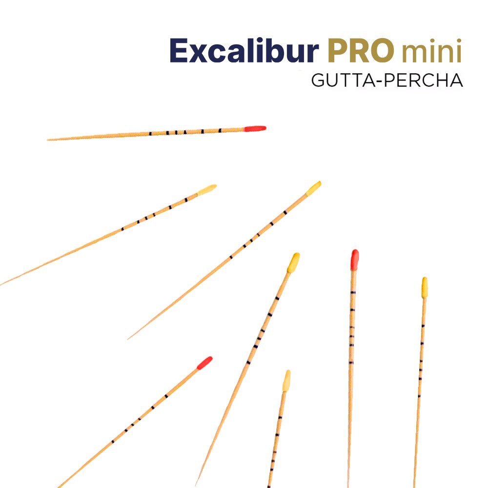 Excalibur PRO mini Gutta Percha product