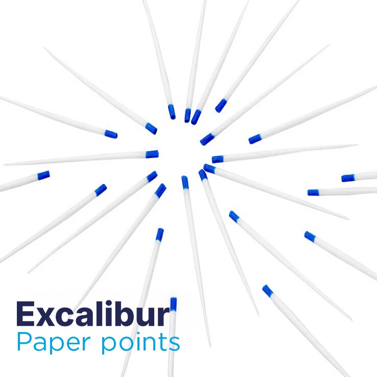 Excalibur Paper Points product