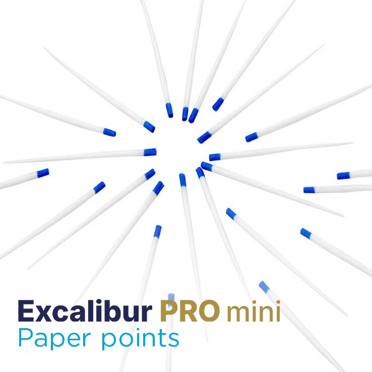 Excalibur PRO mini Paper Points product